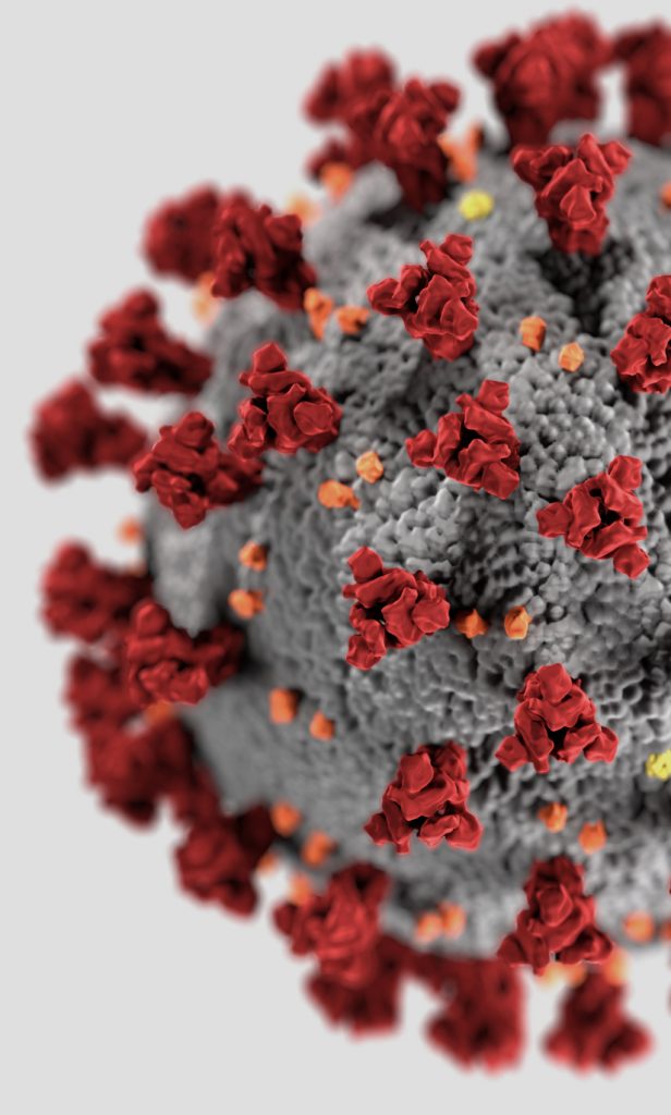 covid19cellcrop Molecular Vision Laboratory